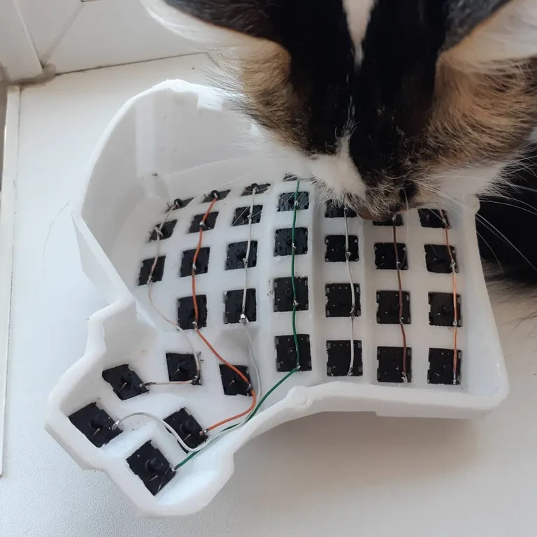 The underside part-wired, thin column wires soldered across the switch pins, while my cat inspects it